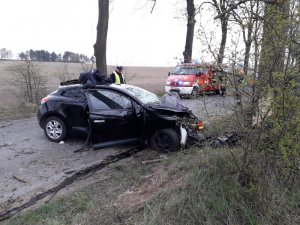 Zdjęcie przedstawia rozbity samochód marki Renault. Uszkodzony przód pojazdu. Z prawej strony drzewo z widocznym brakiem kory po uderzeniu.